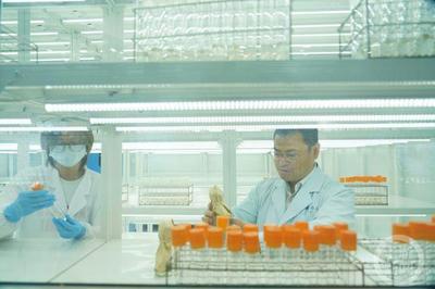 科技創新引領綠色發展 特種蠶絲、楊樹新品種與長江生態保護的協同探索