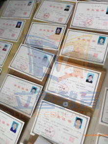 服務(wù)周到的學歷提升 信譽好的學歷證書培訓機構(gòu),當屬立雪教育,服務(wù)周到的學歷提升 信譽好的學歷證書培訓機構(gòu),當屬立雪教育生產(chǎn)廠家,服務(wù)周到的學歷提升 信譽好的學歷證書培訓機構(gòu)