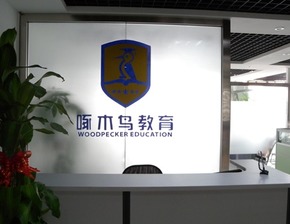 啄木鳥教育宣布獲得2500萬元投資