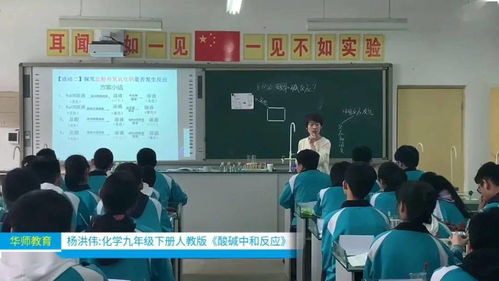 華師公益直播回顧 品牌教師精品課展示 化學(xué)九年級下冊人教版 酸堿中和反應(yīng)