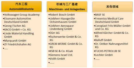 合作方SinaLingua簡(jiǎn)介